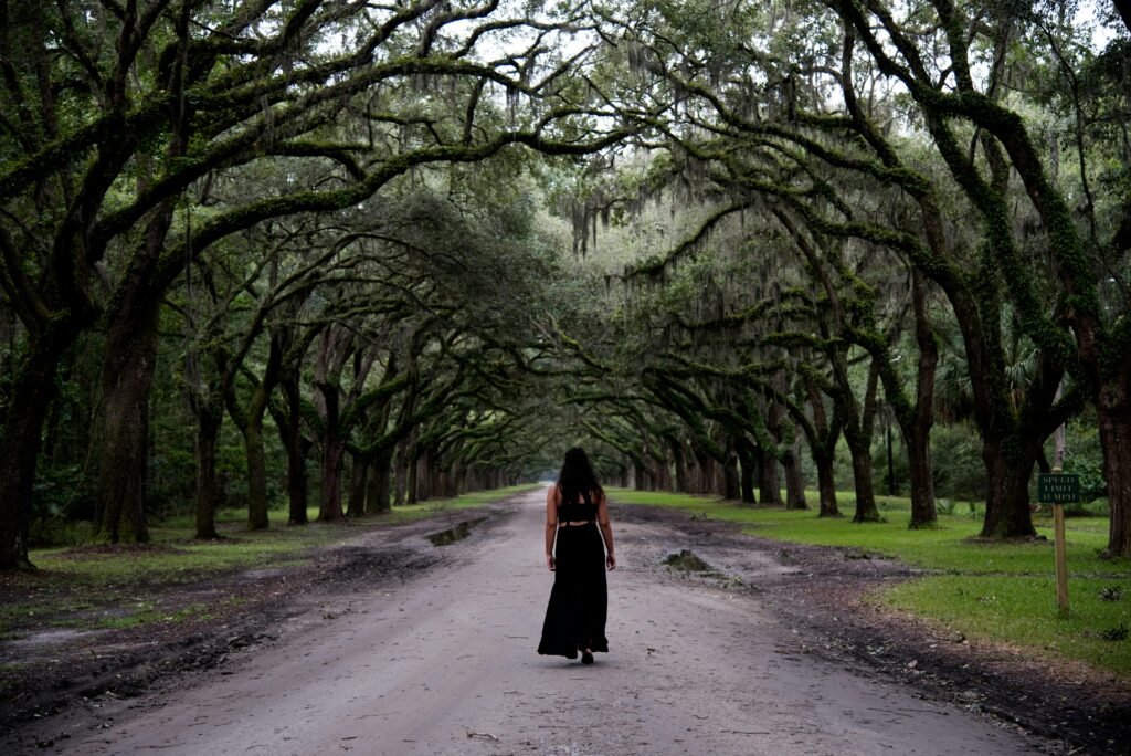 100 gallon live oak